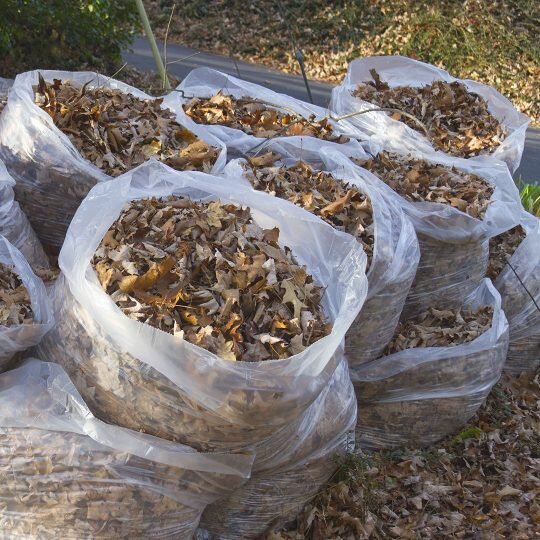 Yard waste removal